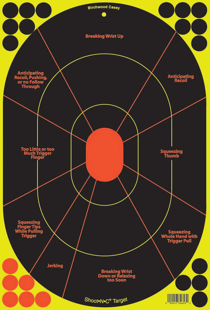 Targets Birchwood Casey Paper BIR 34653          SHOOT-N-C 12X18 HNDGN TRN 100PK